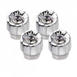 Japan Carmate Car With Amphibole Silver Tire Nozzle
