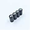 Premium Car Tyre Valve Stem Air Nozzle
